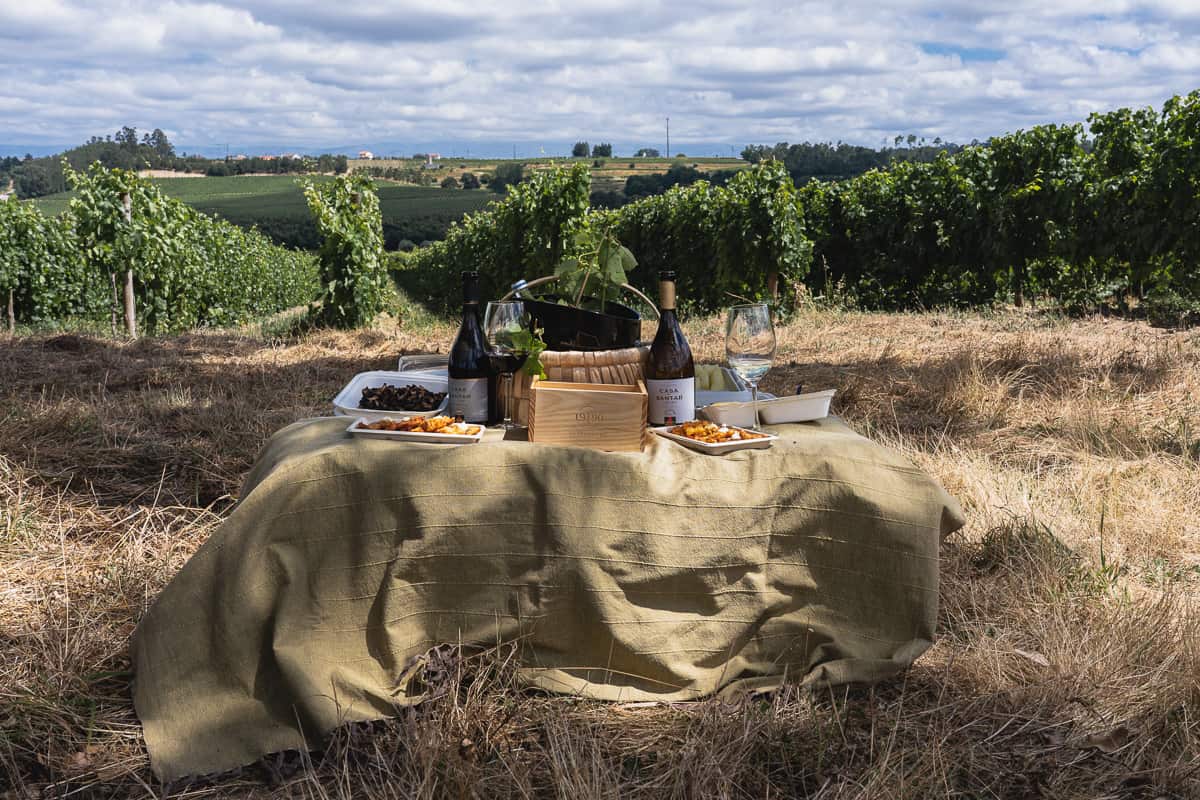 Picnic in the middle of Santar vineyard in Dão Wine region Portugal