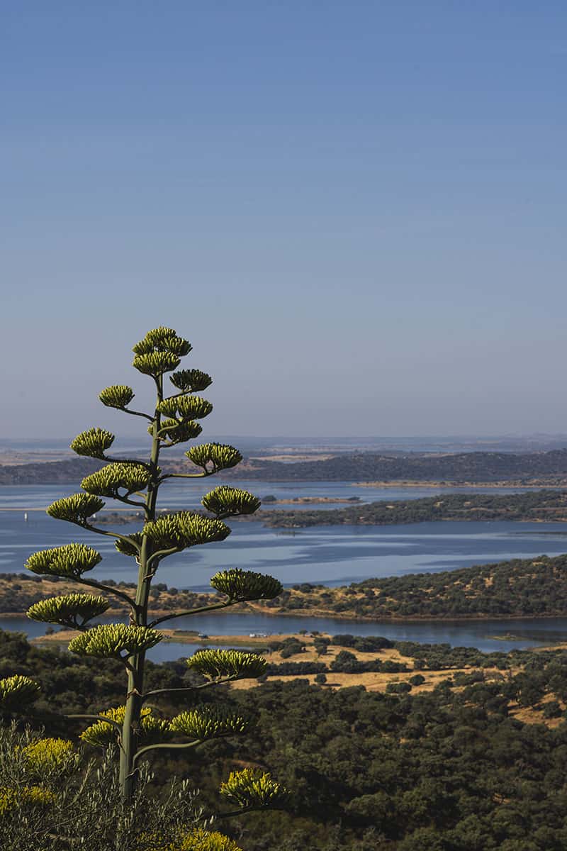 Alqueva lakes Alentejo Portugal