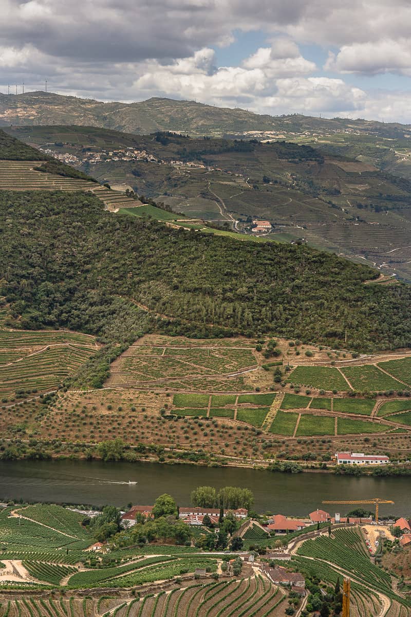 douro valley day trip porto