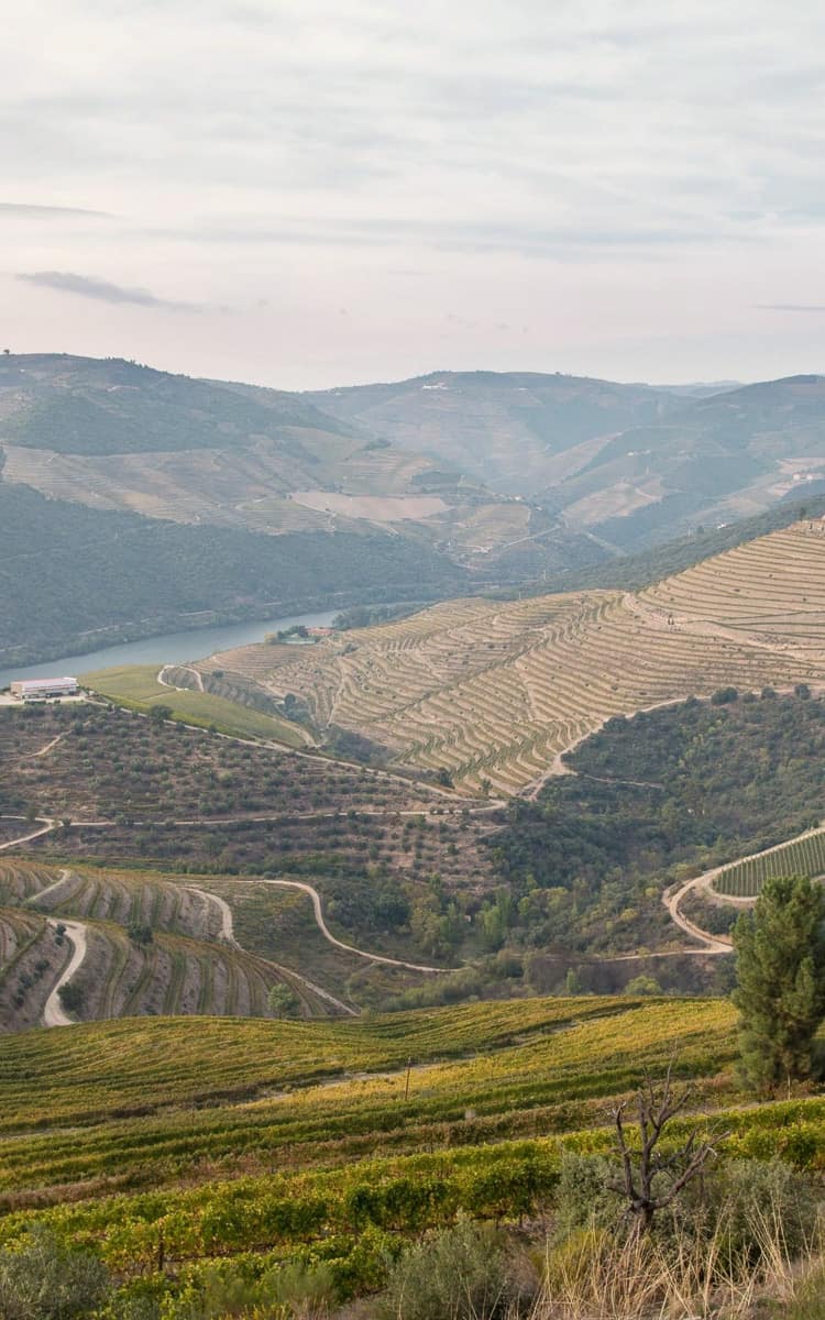 douro valley day trip porto