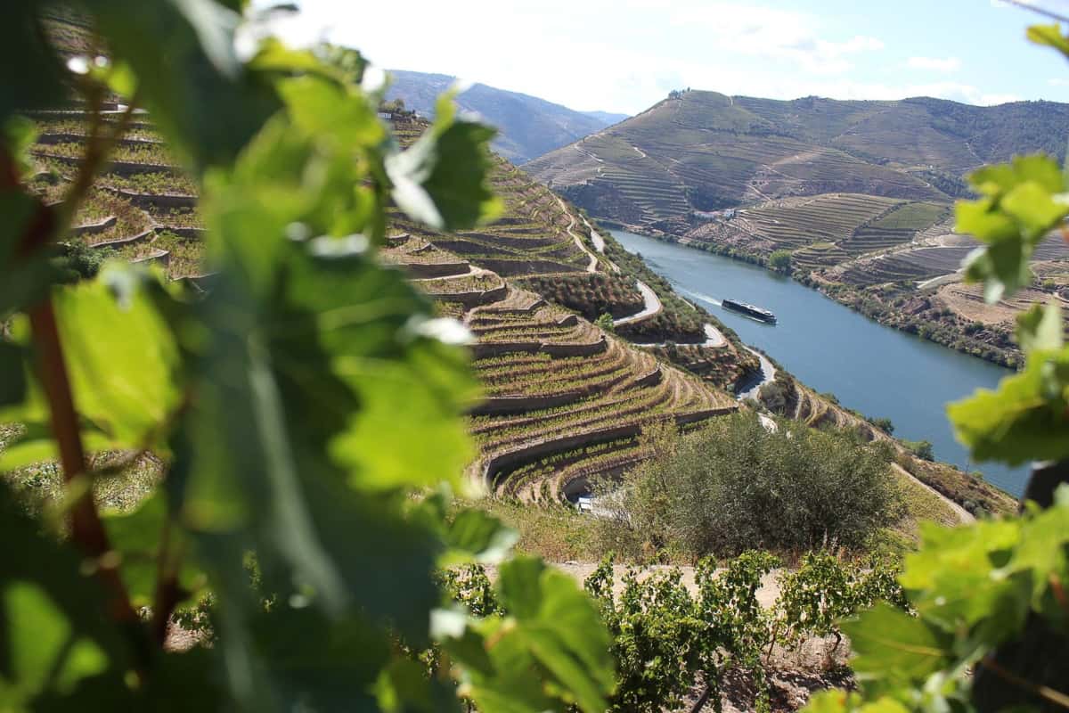 Douro valley views in north Portugal