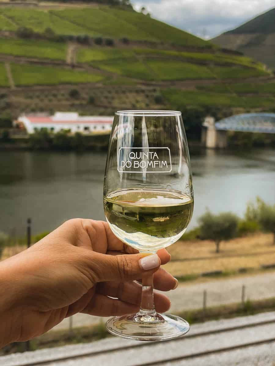 Wine tasting in Bomfim winery Douro Valley Pinhao
