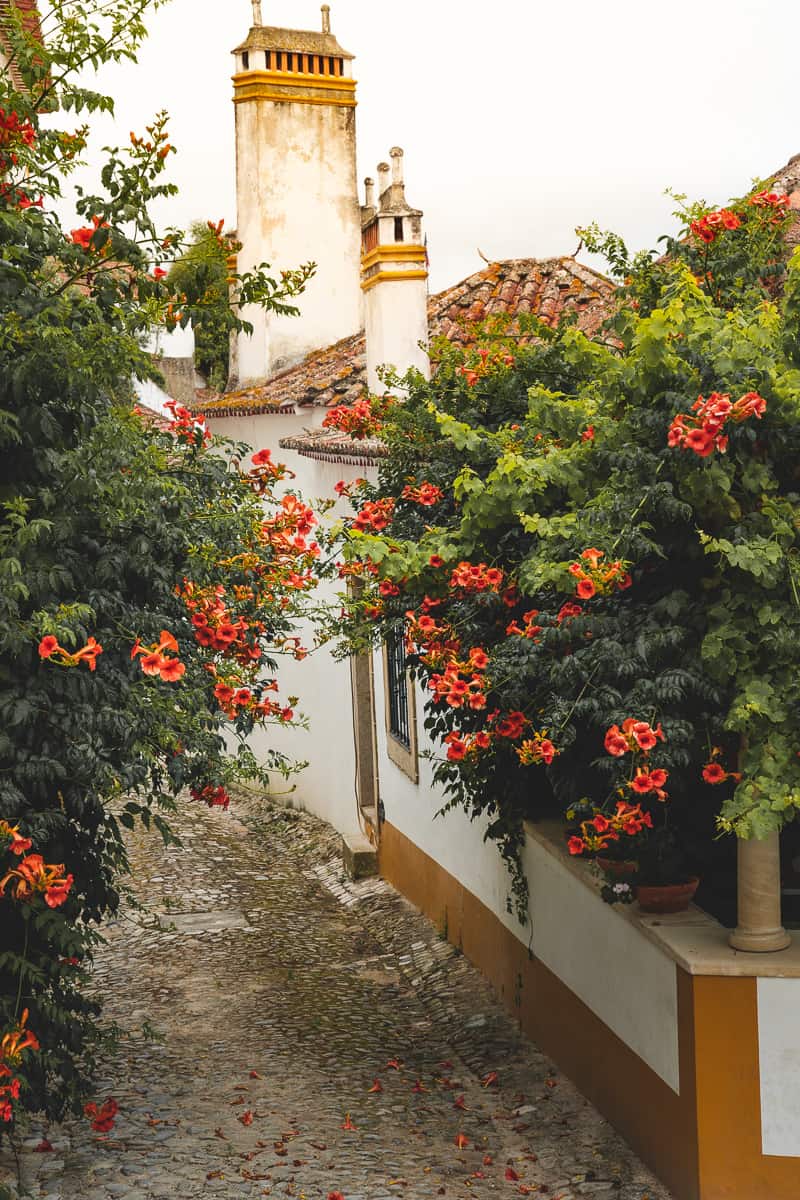 Beautiful street in Obidos Portugal